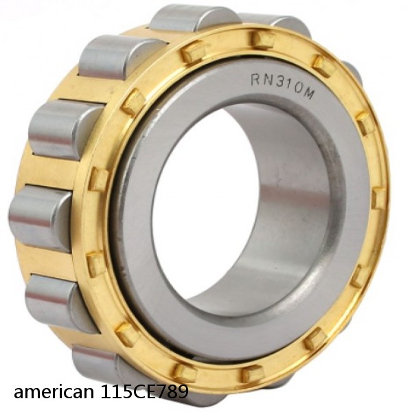 american 115CE789 SINGLE ROW CYLINDRICAL ROLLER BEARING