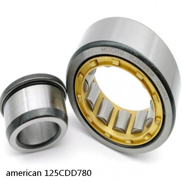 american 125CDD780 SINGLE ROW CYLINDRICAL ROLLER BEARING
