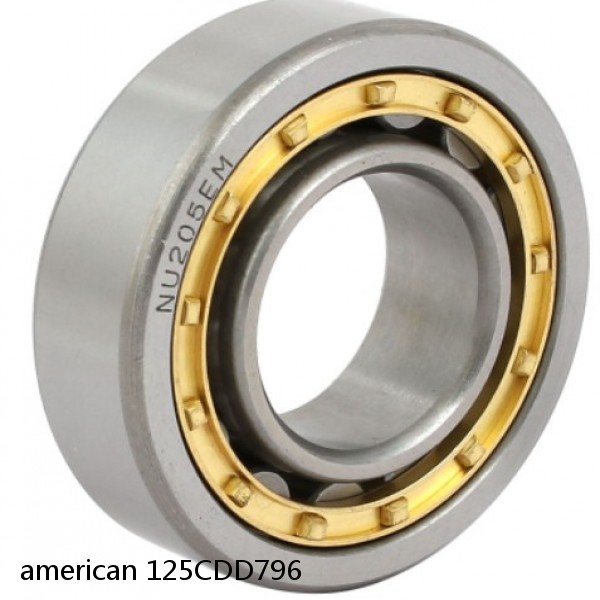 american 125CDD796 SINGLE ROW CYLINDRICAL ROLLER BEARING