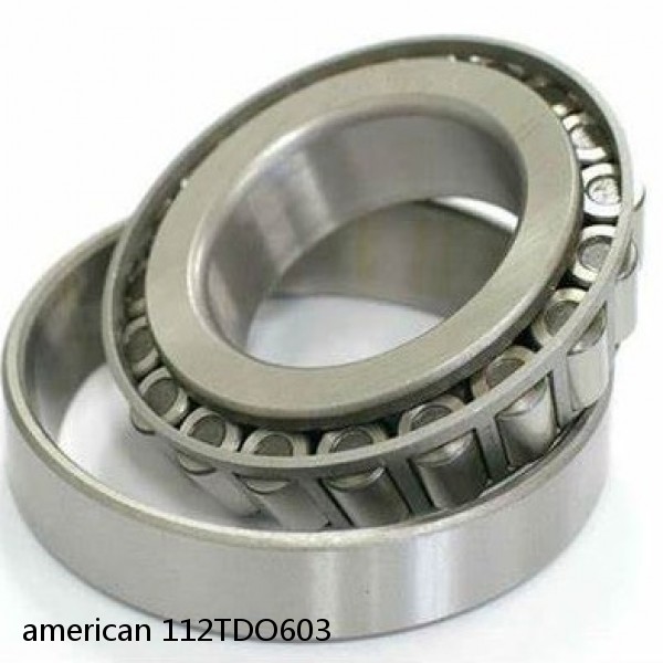american 112TDO603 DOUBLE ROW TAPERED ROLLER TDO BEARING