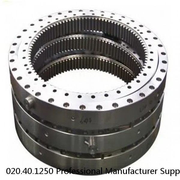 020.40.1250 Professional Manufacturer Supply All Types Of Slewing Bearing