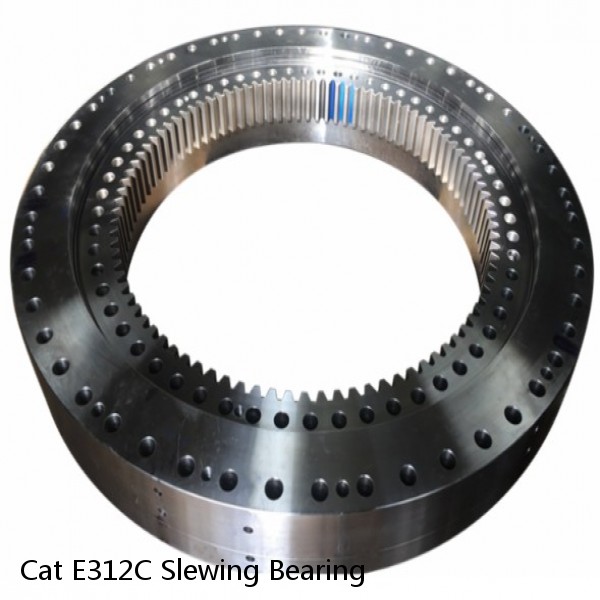 Cat E312C Slewing Bearing