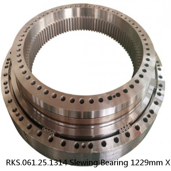 RKS.061.25.1314 Slewing Bearing 1229mm X 1448mm X 68mm