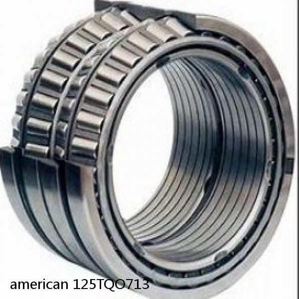 american 125TQO713 FOUR ROW TQO TAPERED ROLLER BEARING