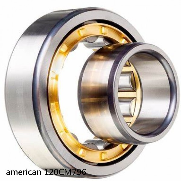 american 120CM796 SINGLE ROW CYLINDRICAL ROLLER BEARING #1 small image