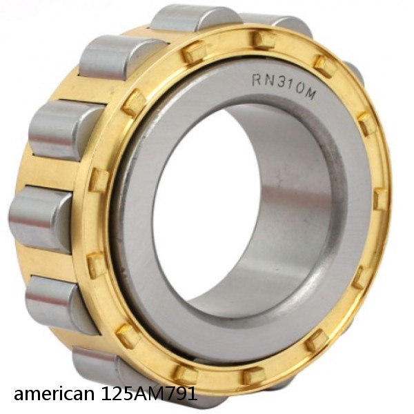 american 125AM791 SINGLE ROW CYLINDRICAL ROLLER BEARING