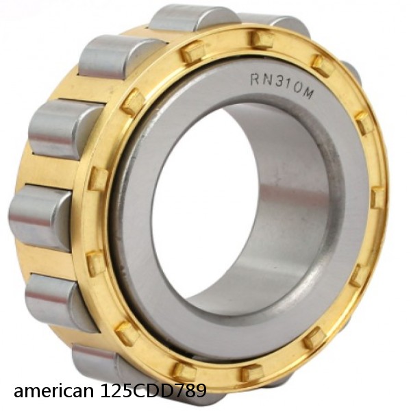 american 125CDD789 SINGLE ROW CYLINDRICAL ROLLER BEARING