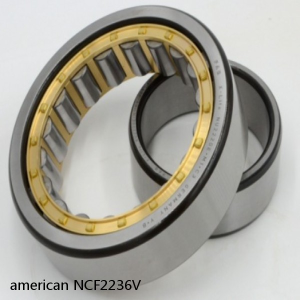 american NCF2236V FULL SINGLE CYLINDRICAL ROLLER BEARING #1 small image