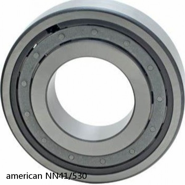 american NN41/530 DOUBLE CYLINDRICALROW BEARING #1 image