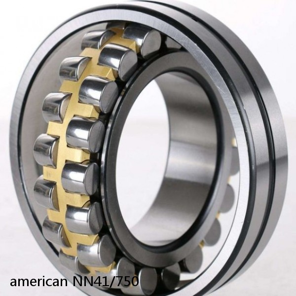 american NN41/750 DOUBLE CYLINDRICALROW BEARING #1 image