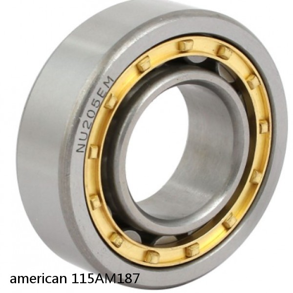american 115AM187 SINGLE ROW CYLINDRICAL ROLLER BEARING #1 image