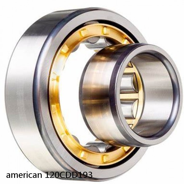 american 120CDD193 SINGLE ROW CYLINDRICAL ROLLER BEARING #1 image