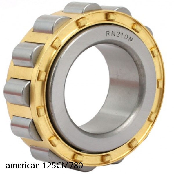 american 125CM780 SINGLE ROW CYLINDRICAL ROLLER BEARING #1 image