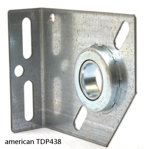 american TDP438 CENTER PLATE BEARING #1 image