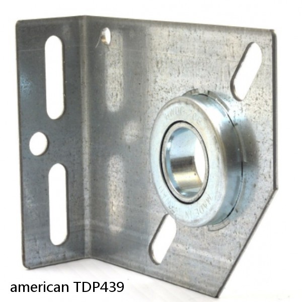 american TDP439 CENTER PLATE BEARING #1 image