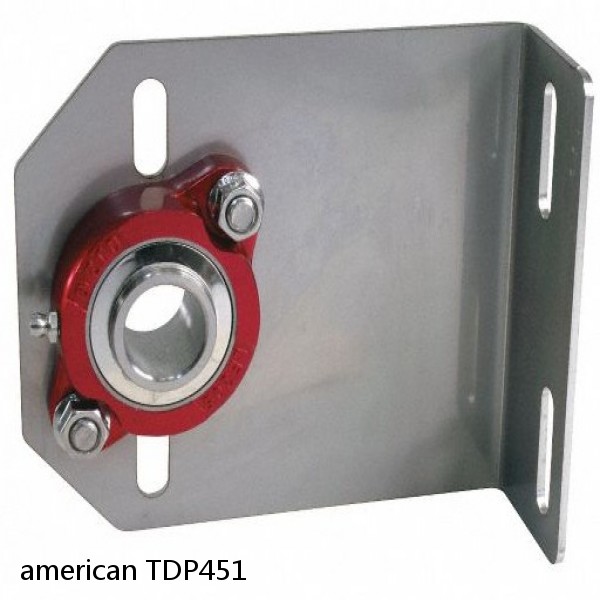 american TDP451 CENTER PLATE BEARING #1 image
