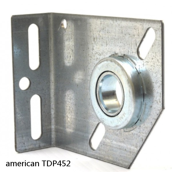 american TDP452 CENTER PLATE BEARING #1 image