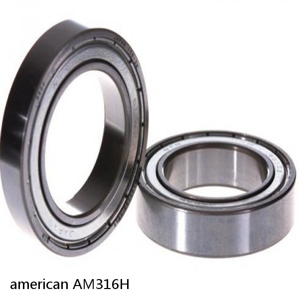 american AM316H JOURNAL CYLINDRICAL ROLLER BEARING #1 image