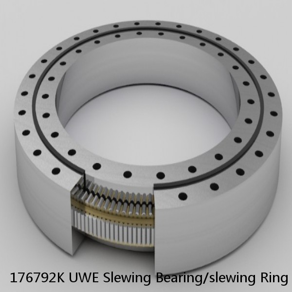 176792K UWE Slewing Bearing/slewing Ring #1 image