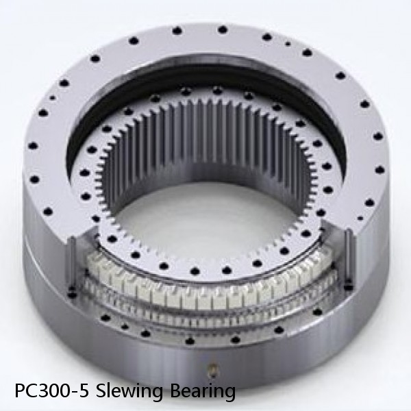 PC300-5 Slewing Bearing #1 image