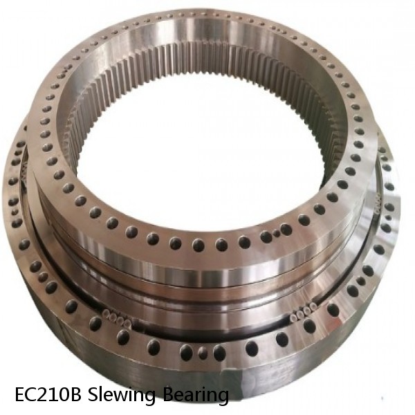 EC210B Slewing Bearing #1 image