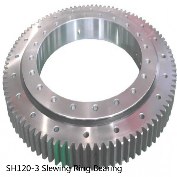 SH120-3 Slewing Ring Bearing #1 image