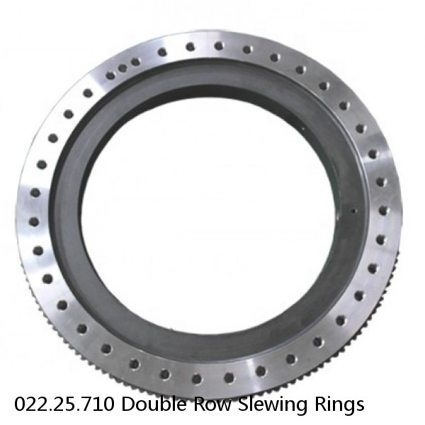 022.25.710 Double Row Slewing Rings #1 image